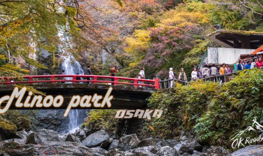 cover ชมใบไม้เปลี่ยนสีที่ Minoo park , Osaka