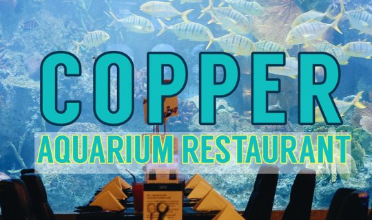 cover รีวิว COPPER Aquarium Restaurant กินบุฟเฟต์ในบรรยากาศท้องทะเลกัน