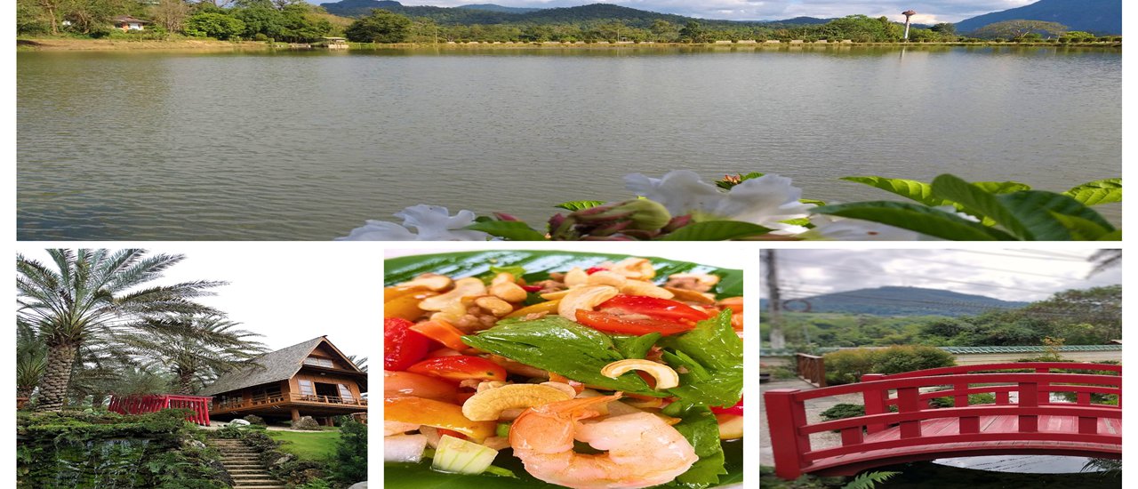 cover แอ่วฮิโนกิแลนด์แล้วลองไปร้านอาหารสไตล์ญี่ปุ่นโกหลักไม่ไกลกัน ไปนั่งชิวๆที่โครงการหลวงห้วยลึกบรรยากาศดีม๊าก