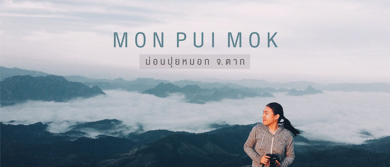 cover Mon Pui Mok : เดินป่าล่าหมอก ที่ม่อนปุยหมอก จ.ตาก