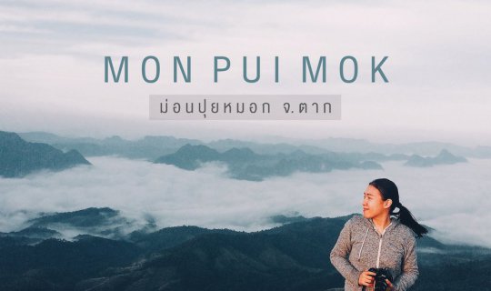 cover Mon Pui Mok : เดินป่าล่าหมอก ที่ม่อนปุยหมอก จ.ตาก