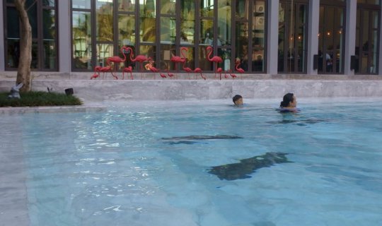 Cover วันพ่อ..เที่ยวภูเก็ต กับที่พักที่แสนประทับใจในราคาที่ทุกคนเอื้อมถึง...