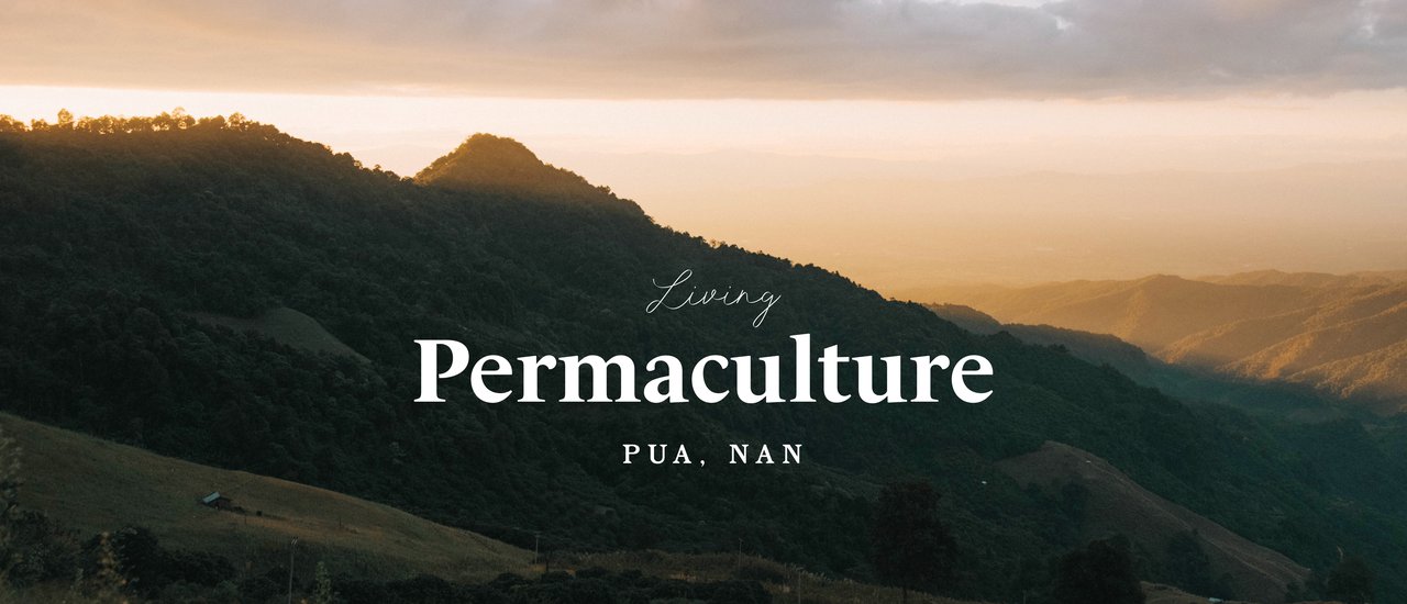 cover 🍀 PUA Permaculture | ห่มลมหนาว ขึ้นเขา เดินป่า กับปัวในมุมที่ยังไม่เคยเห็น
