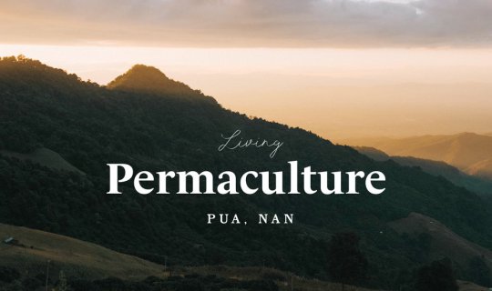 Cover 🍀 PUA Permaculture | ห่มลมหนาว ขึ้นเขา เดินป่า กับปัวในมุมที่ยังไม่...