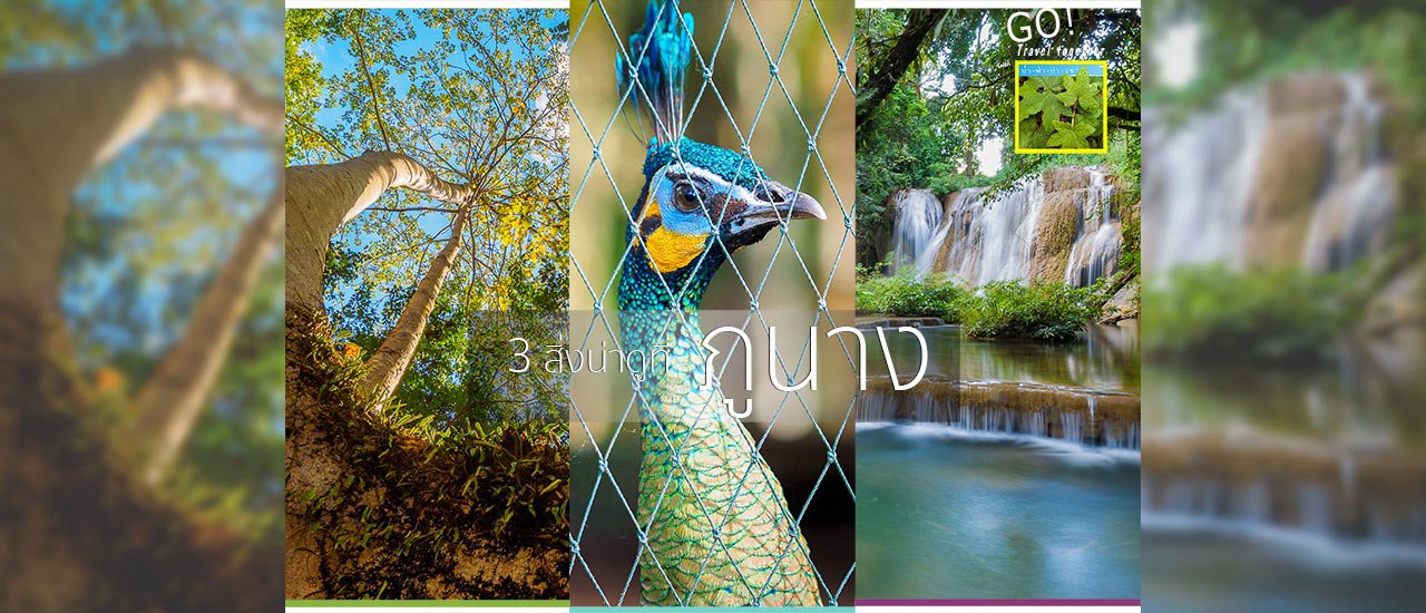 cover 3 สิ่งน่าดูที่ ... ภูนาง
