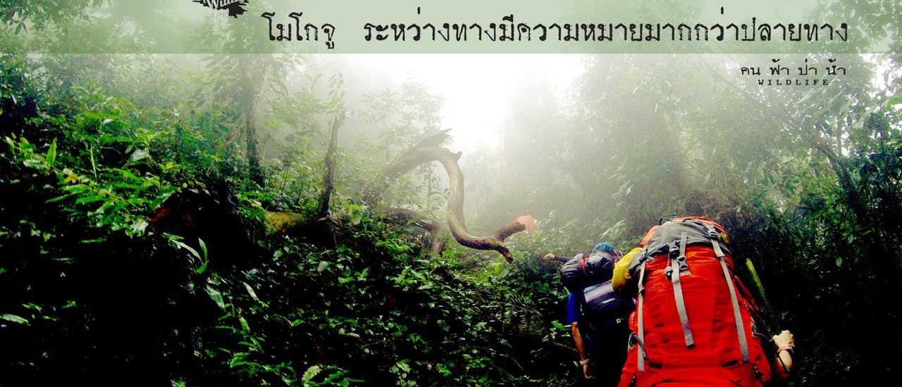 cover โมโกจู…ระหว่างทางมีความหมายมากกว่าปลายทาง