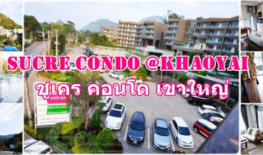 cover SUCRE CONDO @ KHAOYAI ชูเคร คอนโด เขาใหญ่