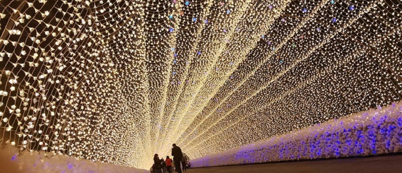 cover รีวิว Illumination Lighting @ Nabana No Sato &  Inuyama Castle