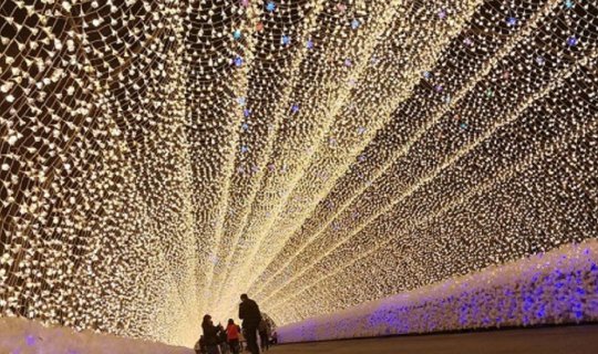 Cover รีวิว Illumination Lighting @ Nabana No Sato &  Inuyama Castle...