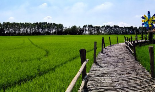 Cover นั่งจิบกาแฟกลางทุ่งที่"Fourbuta cafe"...