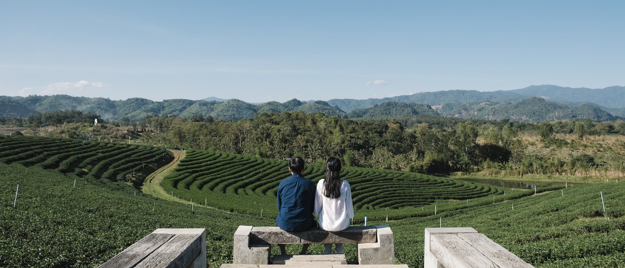 cover Chiang Rai: Take a deep breath พาไปฟอกปอดที่เชียงราย