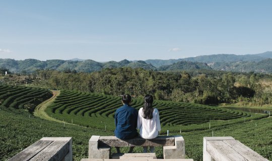 Cover Chiang Rai: Take a deep breath พาไปฟอกปอดที่เชียงราย...