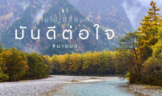 Cover Leaves changing color when season changes #1: Karuizawa - Gunma-Kami...