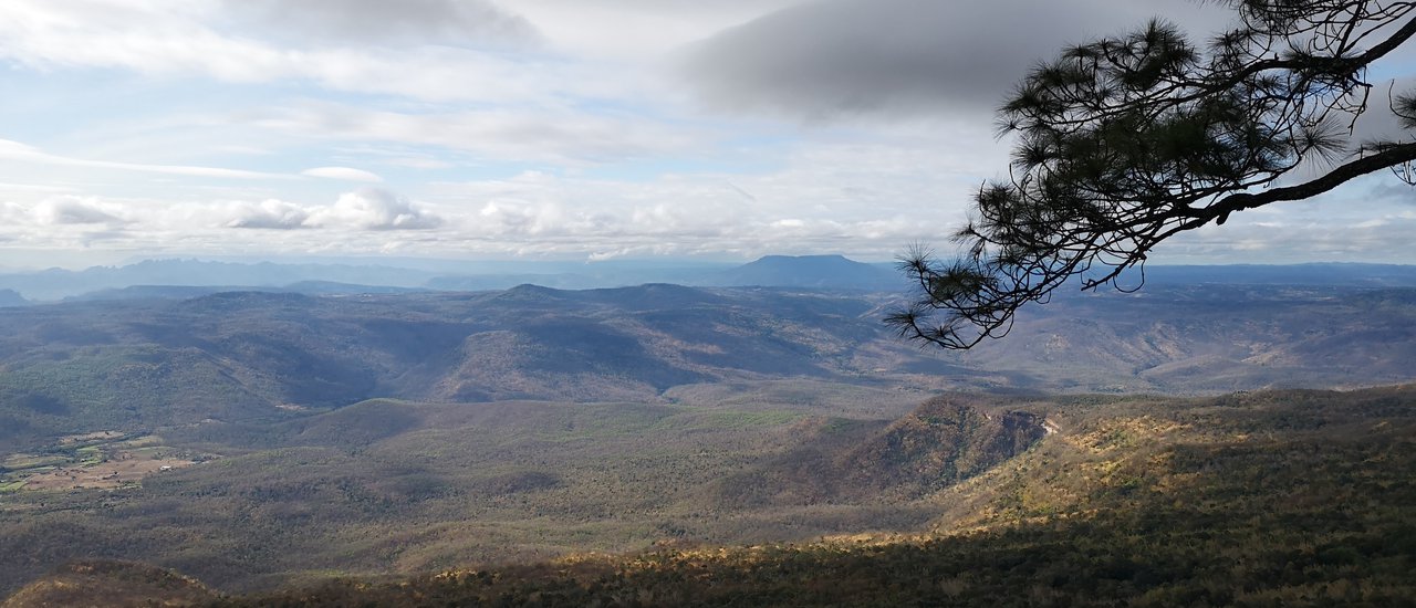 cover ภูกระดึงที่รักเลย