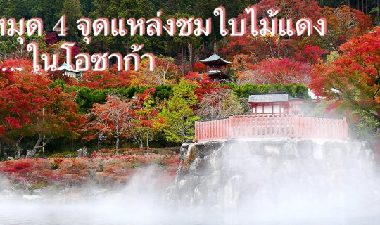 Cover ปักหมุด 4 จุด ..... แหล่งชมใบไม้แดงในโอซาก้า...