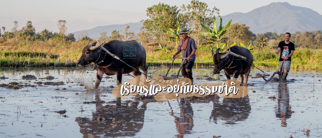 cover ได้ดิบ ได้ดี l เรียนรู้และอยู่กับธรรมชาติ > นอนดูดาว > นอนบ้านต้นไม้ > เดินป่า > กับชีวิตที่ลงตัว