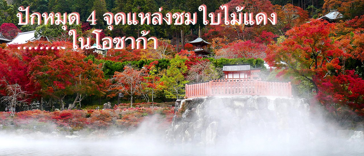 cover 4 Must Go Destinations.........For Photographing Red Leaves in Osaka