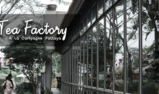 cover Tiew Journey x Tea Factory Pattaya