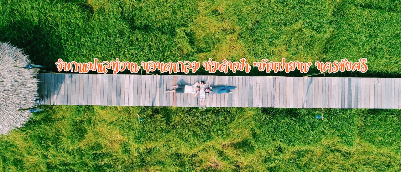 cover จิบกาแฟแลทุ่งนา นอนตากลม ห่มดินฟ้า “บ้านปายนา” นครชัยศรี