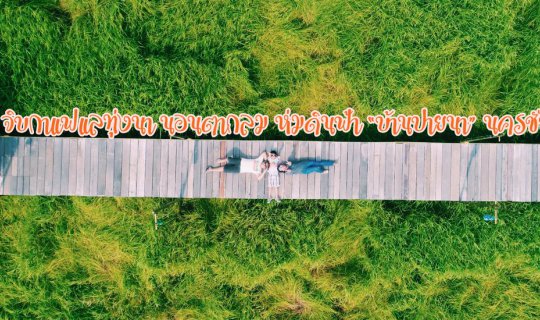 cover จิบกาแฟแลทุ่งนา นอนตากลม ห่มดินฟ้า “บ้านปายนา” นครชัยศรี