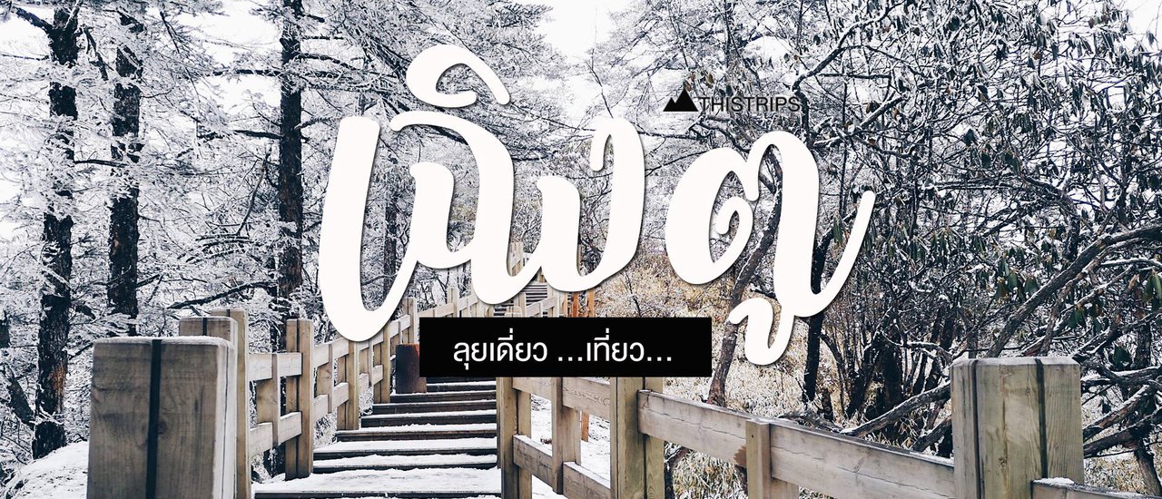 cover ลุยเดี่ยว! เที่ยว... เฉิงตู