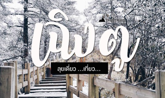cover ลุยเดี่ยว! เที่ยว... เฉิงตู