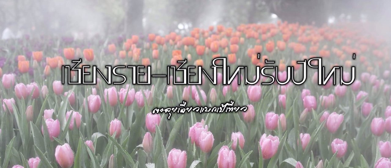 cover เชียงราย-เชียงใหม่รับปีใหม่ 2562