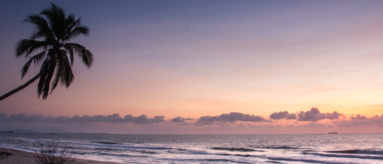 cover เพราะขนอมมันตอบโจทย์