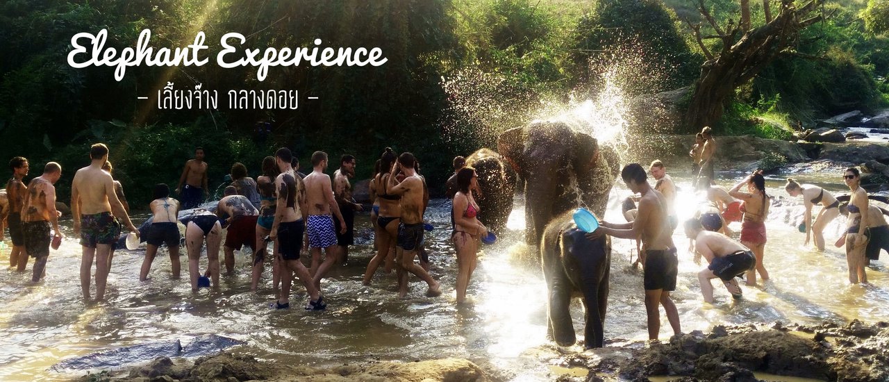 cover เลี้ยงจ๊าง กลางดอย - เปิดประสบการณ์ใหม่ เลี้ยงช้างท่ามกลางหุบเขา