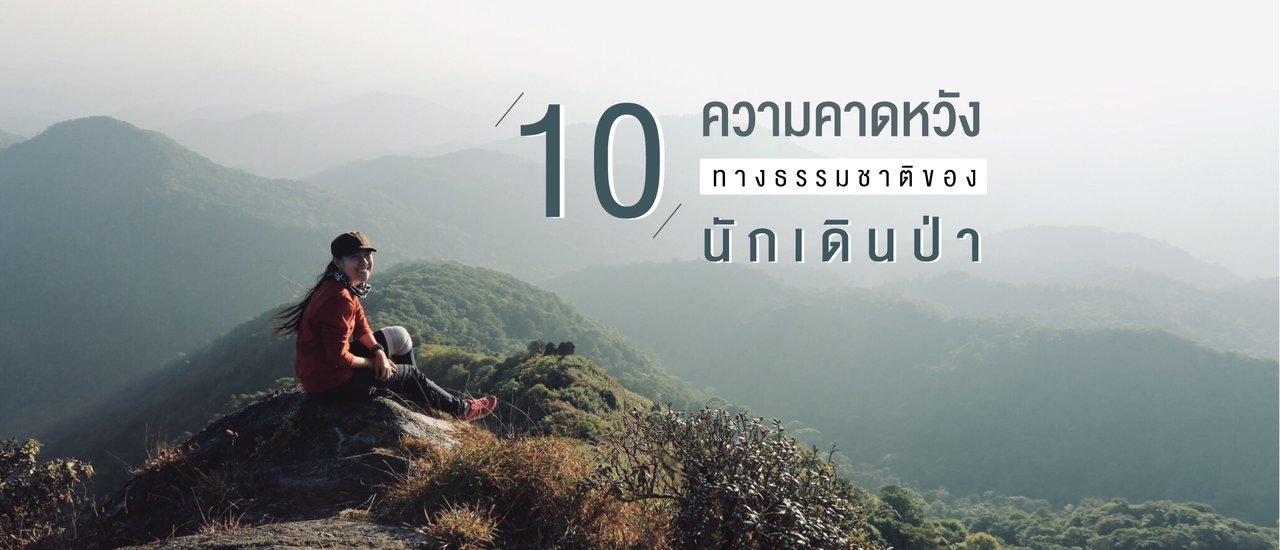 cover 10 ความคาดหวังทางธรรมชาติของ "นักเดินป่า"