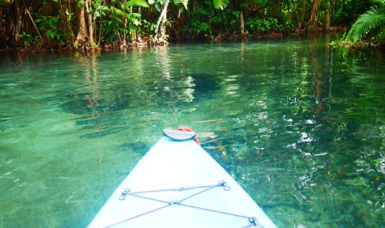 Cover พายเรือคายัคไปดู "ทรายเดือด" ที่คลองน้ำใส จังหวัดกระบี่...