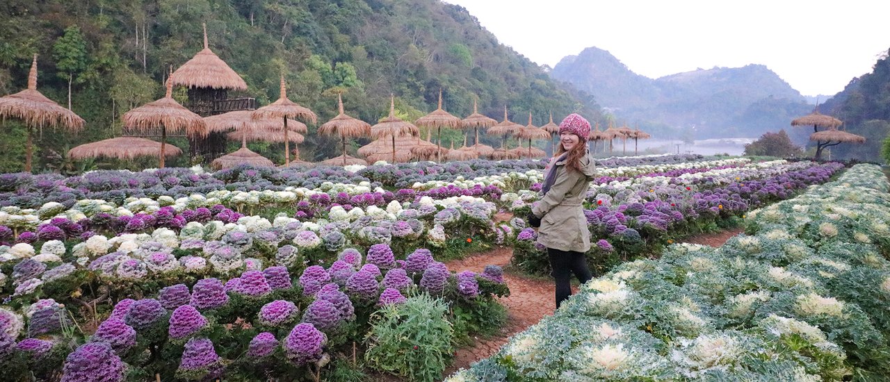 cover A Journey from Hua Lamphong with the New Overnight Sleeper Train (Uttravithi) to "Doi Ang Khang" a Wonderland with Cold Weather all Year Round <3