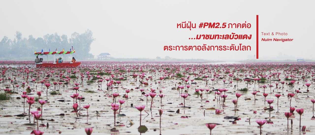 cover หนีฝุ่น #PM2.5 ภาคต่อ...มาชมทะเลบัวแดงตระการตา อลังการระดับโลก