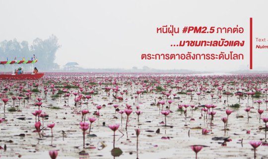 cover หนีฝุ่น #PM2.5 ภาคต่อ...มาชมทะเลบัวแดงตระการตา อลังการระดับโลก
