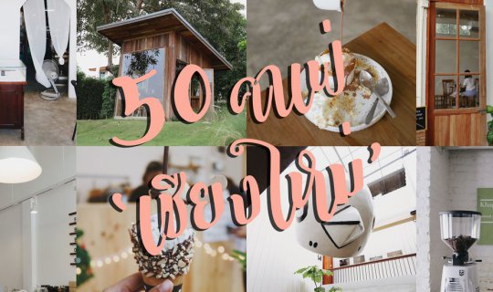 cover รีวิว 50 คาเฟ่ ‘ เชียงใหม่ ’ ครบกว่านี้ไม่มีอีกแล้ว | Bliss Out There