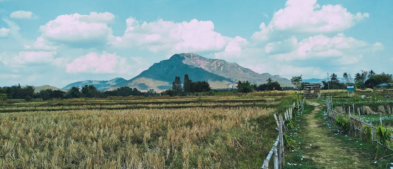 cover @เชียงคาน 12-13 ม.ค. 2562