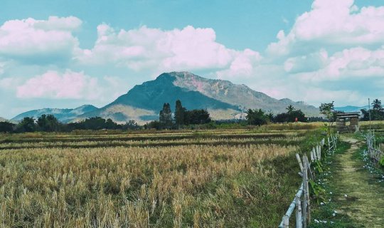 Cover @เชียงคาน  12-13 ม.ค. 2562...