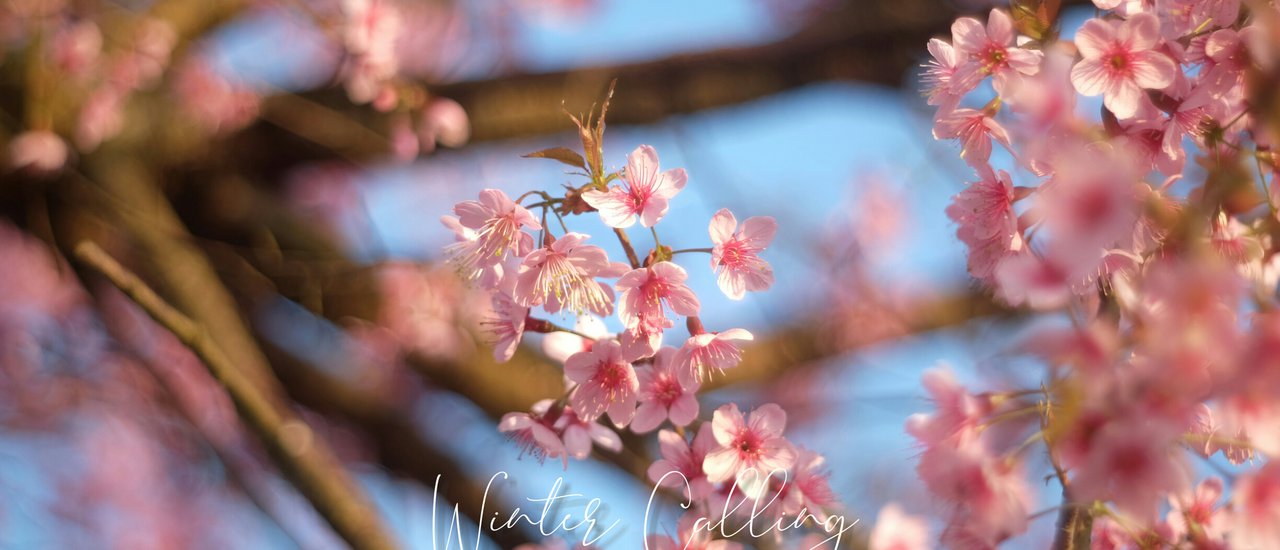 cover 24 hours in phu tubberk แค่ 24 ชั่วโมงกับทางผ่าน ฟินได้ขนาดนี้เลยจริง ๆ