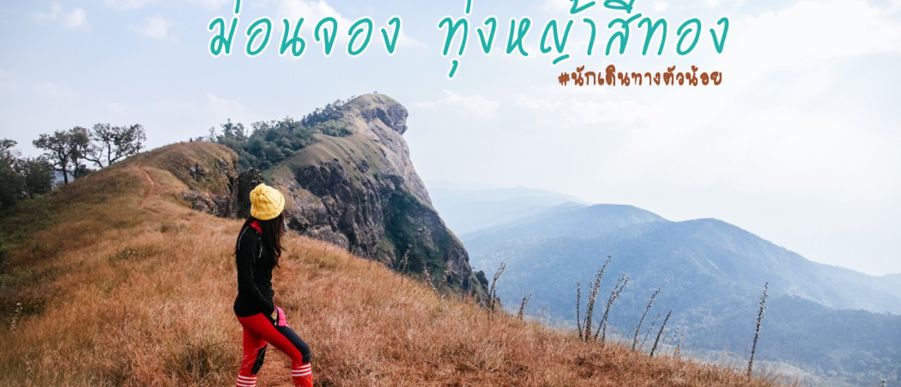 cover ทุ่งหญ้าสีทอง ณ ม่อนจอง ดอยต้องห้าม (พลาด) by นักเดินทางตัวน้อย