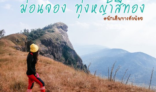 cover ทุ่งหญ้าสีทอง ณ ม่อนจอง ดอยต้องห้าม (พลาด) by นักเดินทางตัวน้อย