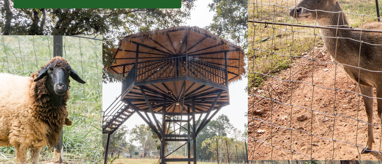 cover The PYTHON Cafe & Eatery