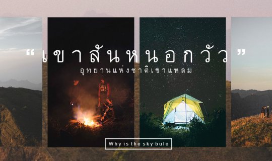 Cover เขาสันหนอกวัว นั่งผิงไฟ นอนนับดาว...