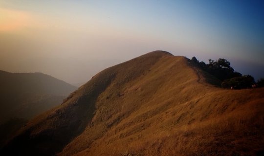 cover พาลูกชายไปม่อนจอง