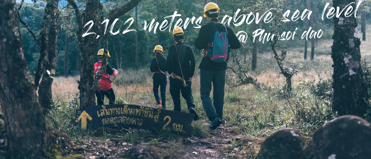 cover 2,102 meters above sea level @ Phu Soi Dao