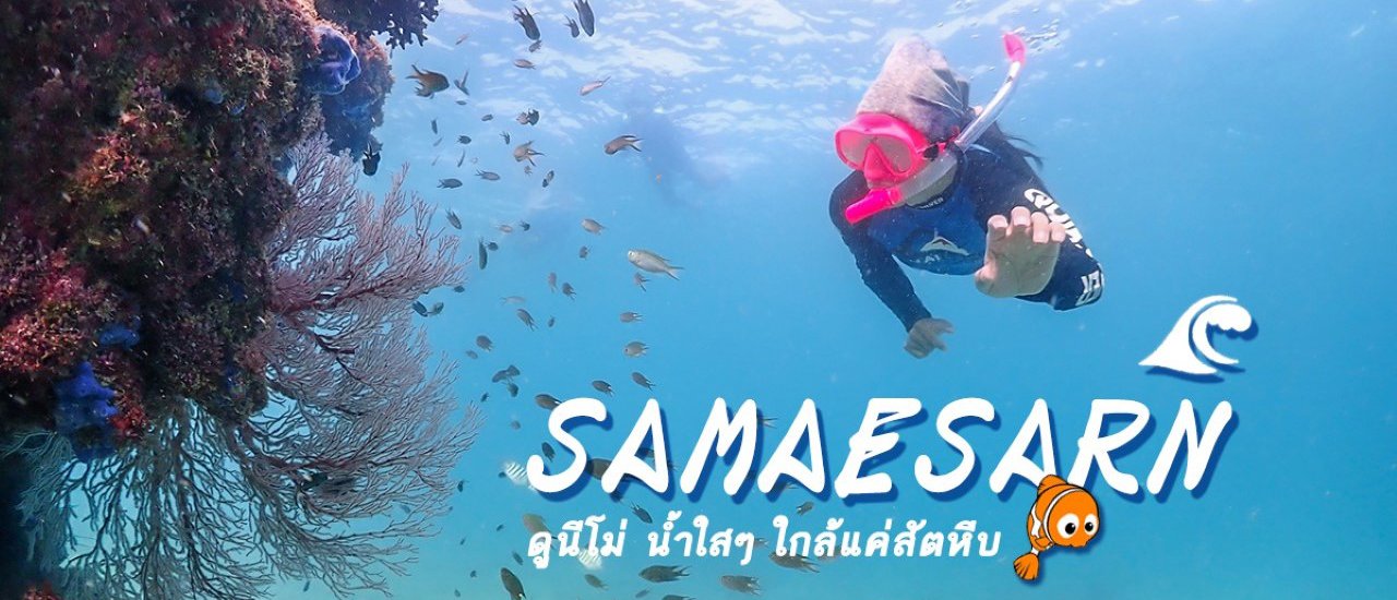 cover ดำน้ำแสมสาร ดูนีโม่ น้ำใสๆ ใกล้แค่สัตหีบ