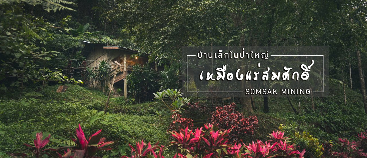 cover เหมืองสมศักดิ์ : บ้านเล็กในป่าใหญ่