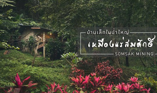 cover เหมืองสมศักดิ์ : บ้านเล็กในป่าใหญ่