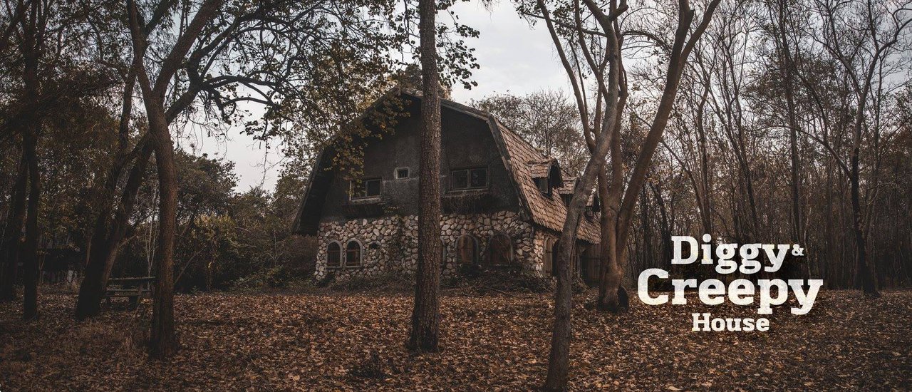 cover Diggy & Creepy House