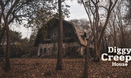 cover Diggy & Creepy House