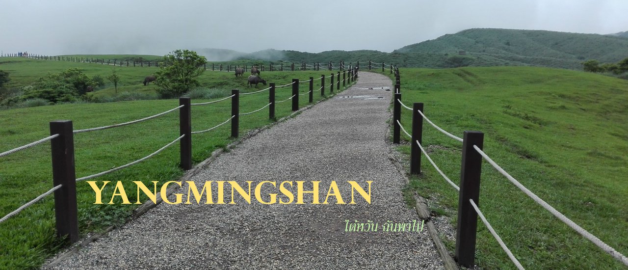 cover Yangmingshan ไม่คาดหวัง แต่เกินคาด